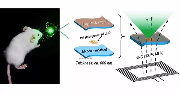 LED交通誘導(dǎo)屏 LED交通誘導(dǎo)屏